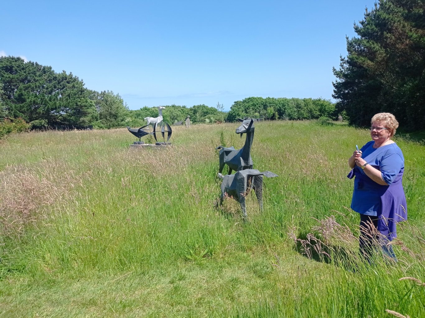 Coverack sculpture garden