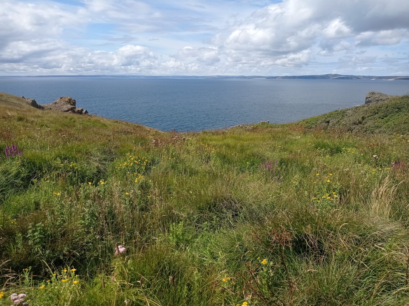 Predannack Walk